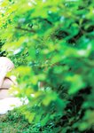[Photobook] Masa Aoyama 青山真麻 - Straight naked まっすぐなはだか (2017-04-18)