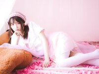 [Cosplay] Crazycat Stockings Rhapsody (Pink)