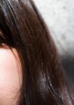 [Photobook] Sakura さくら - Polar Regions 極致 (2021-11-17)