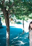 [Photobook] Sakura さくら - Polar Regions 極致 (2021-11-17)