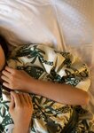 [Photobook] Sakura さくら - Polar Regions 極致 (2021-11-17)