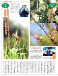 [FLASH] 2022.06.28 No.1650 堀未央奈 澄み渡る