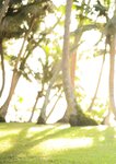 [Photobook] 天使もえ デジタル写真集「Aspiration」EPISODE：Final