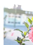 [Photobook] Hinami Mori 森日菜美 1st Photobook - Lots of Mori もりだくさん。 (2022-02-23) No Watermark
