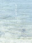 [Photobook] Hinami Mori 森日菜美 1st Photobook - Lots of Mori もりだくさん。 (2022-02-23) No Watermark