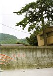 [Photobook] Maki Horikita 堀北真希 - Cinematic (2007.03.07) (130P)