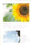[Photobook] Maki Horikita 堀北真希 - Cinematic (2007.03.07) (130P)