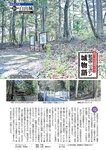 週刊大衆 2022年7月4日号