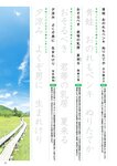 週刊ポスト 2022年 7月8日･15日号