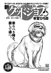 ヤングジャンプ 2022 No.30