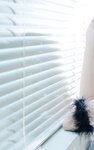 [Photobook] OK？いいよ。： 有坂深雪