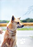 [Photobook] 瀧野由美子1st写真集 君のことをまだよく知らない