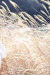 [Photobook] 凛音色 凛音とうか： 【ヘアヌード写真集】