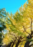 [Photobook] INORI 花宮いのり 1st e-book (Wunder_Publishing_House.)