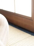 [Photobook] 七菜乃 ヌード写真集『 Dream 』
