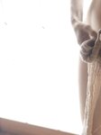 [Photobook] 七菜乃 ヌード写真集『 Dream 』