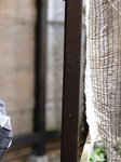 [Photobook] 七菜乃 ヌード写真集『 Dream 』