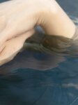 [Photobook] 七菜乃 ヌード写真集『 Dream 』
