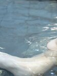 [Photobook] 七菜乃 ヌード写真集『 Dream 』