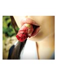 [Photobook] Tsubomi つぼみ - Flower open 花ひらく (2011-04-25)