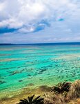 [Photobook] Tsubomi つぼみ - Flower open 花ひらく (2011-04-25)