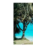 [Photobook] Momo Taiga 大河もも - Vibrant. (2021-12-28)