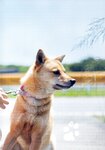 [Photobook] Yumiko Takino 瀧野由美子 1st Photobook - I don't know you well yet 君のことをまだよく知らない (2021-09-22)