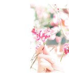 [Photobook] Miyu Honda 本田望結 - JUNIOR HIGH SCHOOL DAYS (2020-04-30)