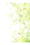 [Photobook] Hikari Kisaki 妃ひかり - To those who shine light 光りが射す方へ (2021-11-05)