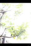 [Photobook] Hikari Kisaki 妃ひかり - To those who shine light 光りが射す方へ (2021-11-05)