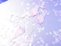 [XiuRen秀人网] 2022.05.12 No.5001 王雨纯 [62P]