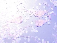 [XiuRen秀人网] 2022.05.12 No.5001 王雨纯 [62P]