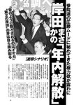 週刊ポスト 2022年 7月22日号