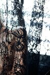 [FRIDAY Digital Photobook] Remu Suzumori 涼森れむ - The most beautiful hair nude in the world 世界一美しいヘアヌード　Red ver. (2022-07-08)