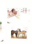 [Photobook]黃語辰-與辰同行 (2019-10-24)