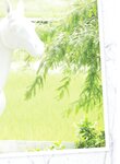 [Photobook]黃語辰-與辰同行 (2019-10-24)