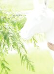 [Photobook]黃語辰-與辰同行 (2019-10-24)