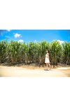 [Photobook] Non Nonoura 野々浦暖 - Non weather のん日和 (2020-10-16)