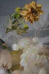 [COSPLAY] 樱晚gigi 双子 清衣.池 绕.归.柔 [78P]