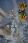 [COSPLAY] 樱晚gigi 双子 清衣.池 绕.归.柔 [78P]