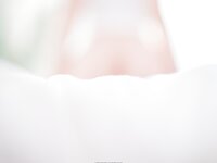 [PhotoChips] Vol.69 No.1 Shaany