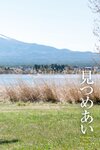[Photobook] Ai Mukai 向井藍 - Face to face 見つめあい (2021-08-13)