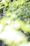 [Photobook] Kyouko Maki 真木今日子 - Mezon Imano Koku ~Glossy caretaker~ めぞん今ノ刻 ～艶やかな管理人～ (2021-10-22)