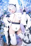 [COSPLAY] 虎森森 - 2B女仆 [15P-78MB]