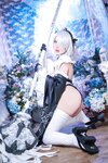 [COSPLAY] 虎森森 - 2B女仆 [15P-78MB]
