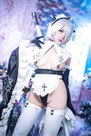 [COSPLAY] 虎森森 - 2B女仆 [15P-78MB]