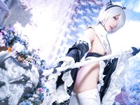 [COSPLAY] 虎森森 - 2B女仆 [15P-78MB]