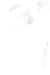 [XiuRen秀人网]2022.06.02 No.5100 允爾 大理旅拍[70+1P／ 563M]