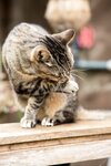 [Photobook] Non Nonoura 野々浦暖 - Non Kibun のんきぶん (2020-04-10)