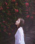 [Photobook] 白石麻衣写真集 パスポート 乃木坂46卒業記念 限定カバー版【Amazon.co.jp限定ポストカード付】